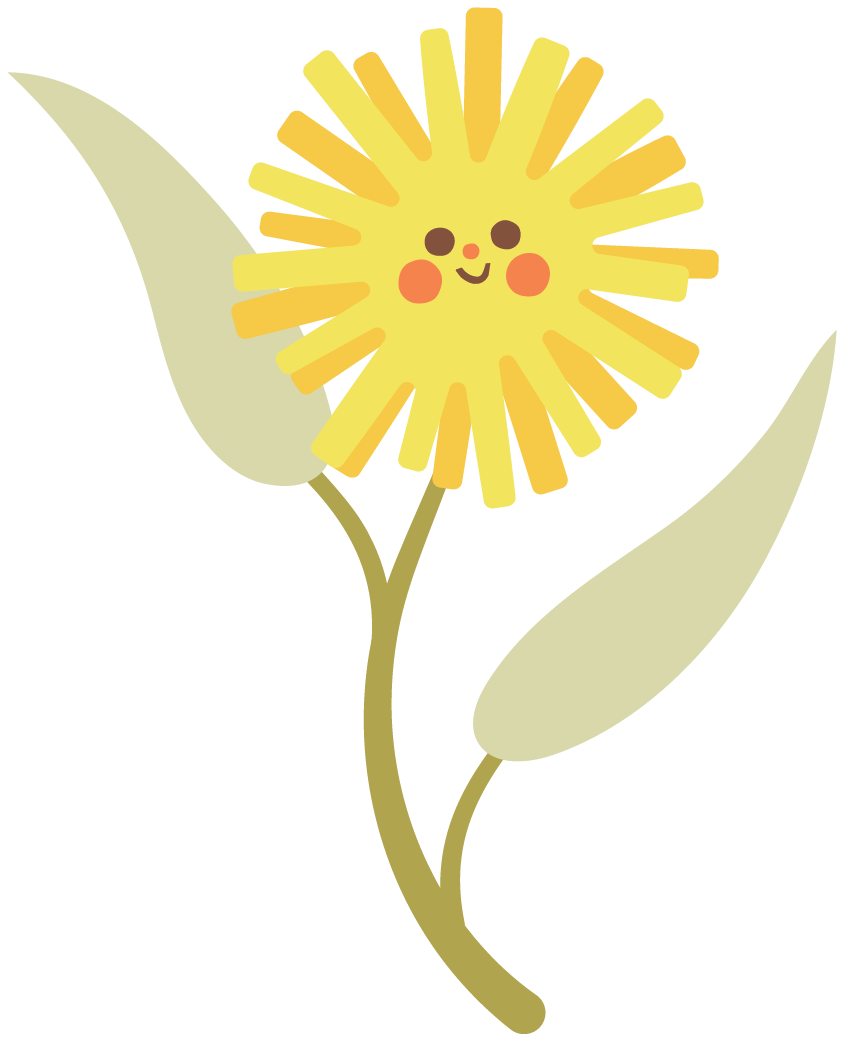 Smiling wattle flower illustration